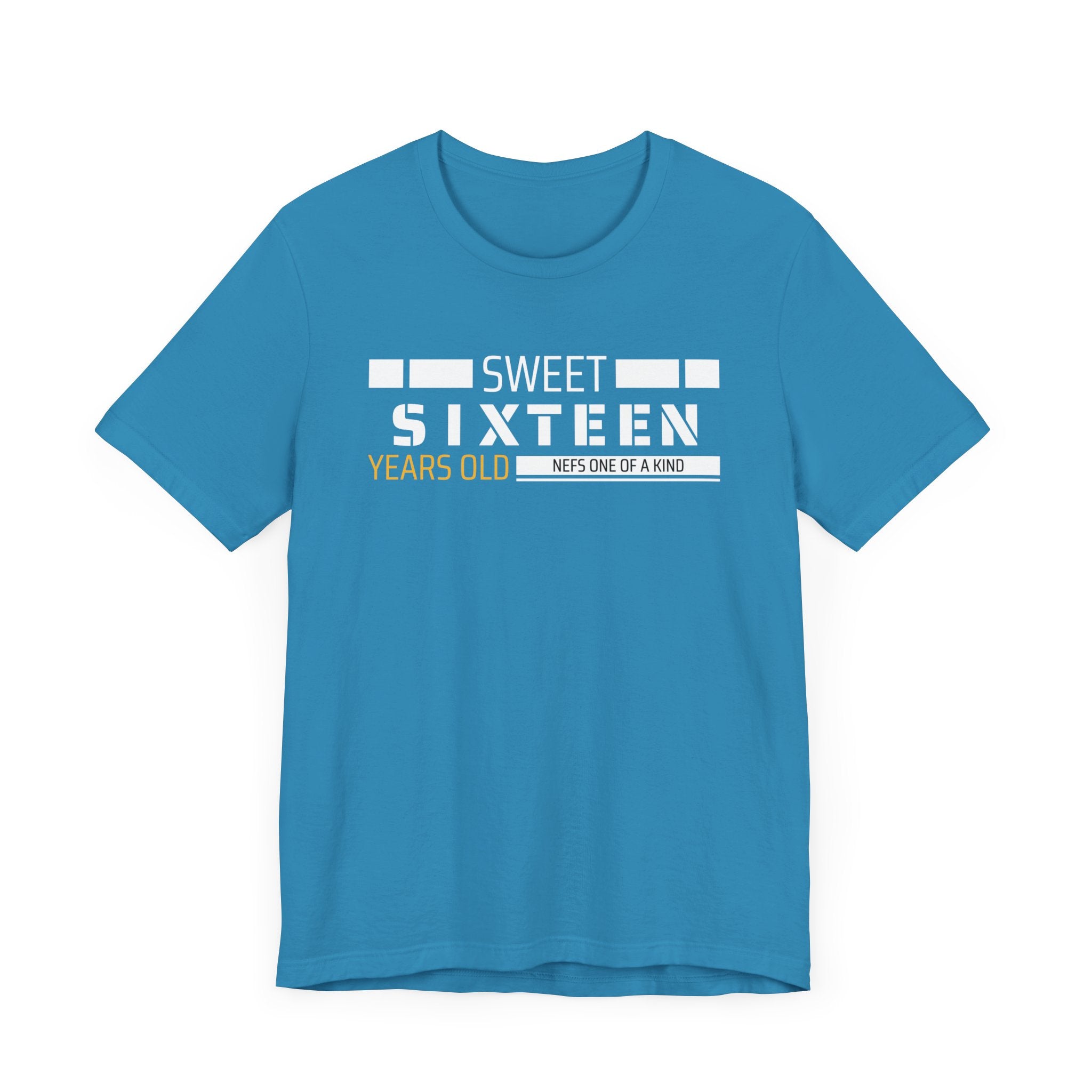 Sixteen year old Unisex Adult Tee